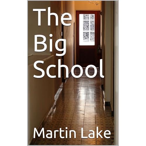 Cover of The Big School