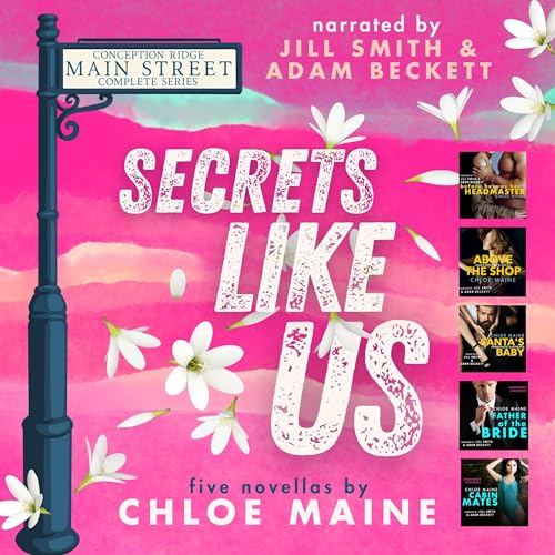 Cover of Secrets Like Us