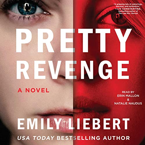 Cover of Pretty Revenge