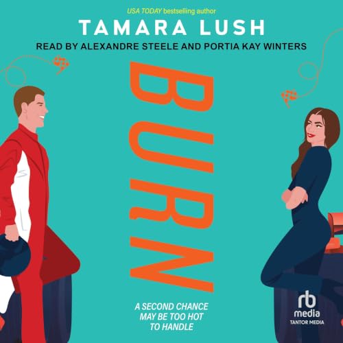 Cover of Burn