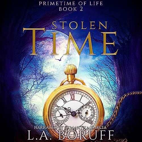 Cover of Stolen Time
