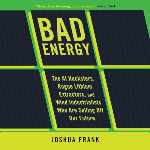 Cover of Bad Energy