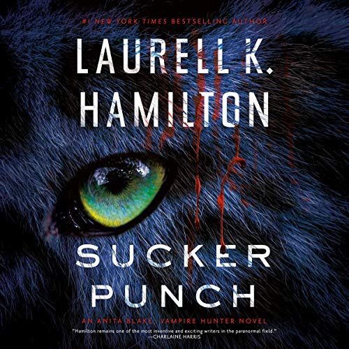 Cover of Sucker Punch