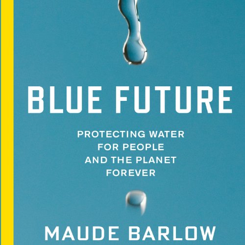 Cover of Blue Future