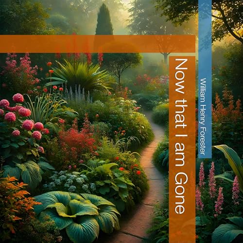 Cover of Now That I Am Gone