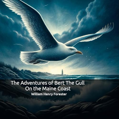 Cover of The Adventures of Bert the Gull