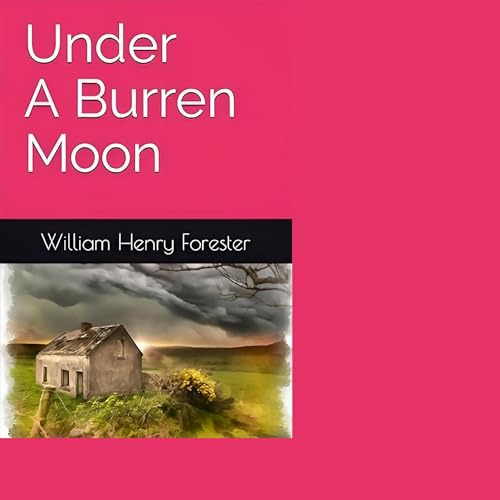 Cover of Under a Burren Moon