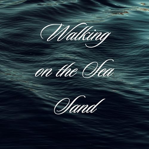 Cover of Walking on the Sea Sand