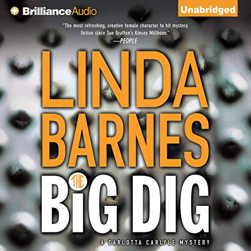 Cover of The Big Dig