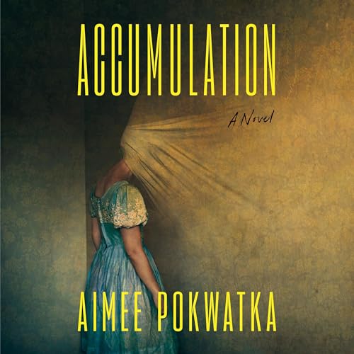 Cover of Accumulation