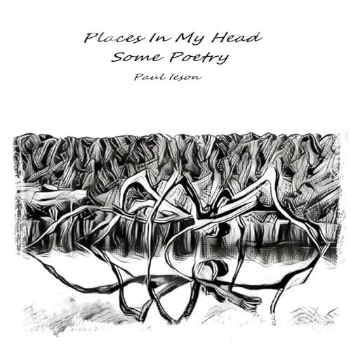 Cover of Places in My Head