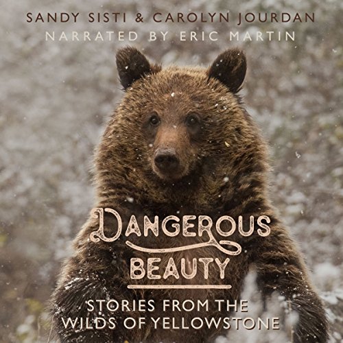 Cover of Dangerous Beauty