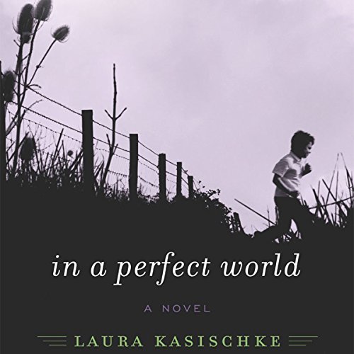 Cover of In a Perfect World