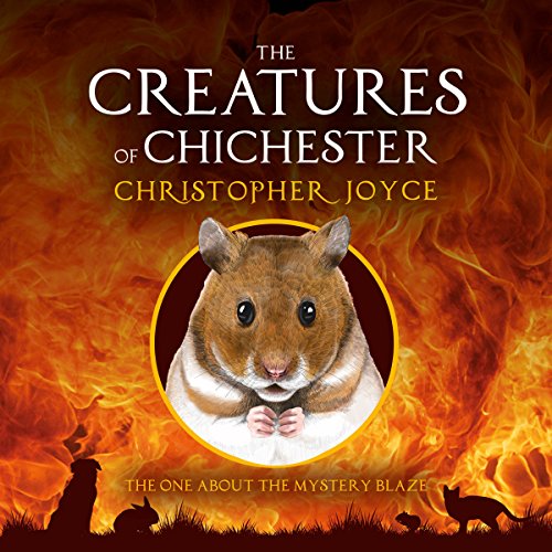 Cover of The One About the Mystery Blaze