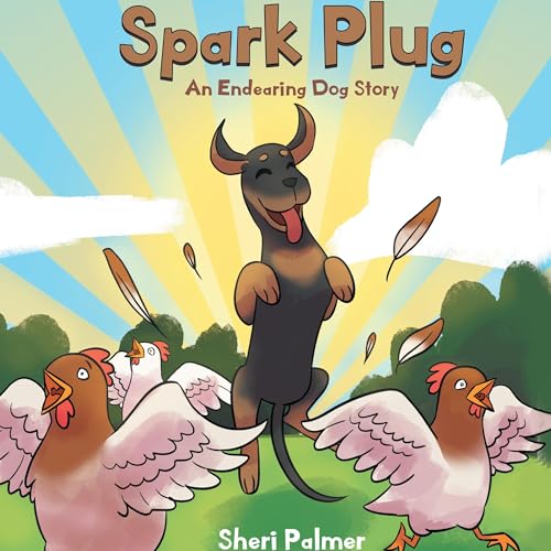 Cover of Spark Plug