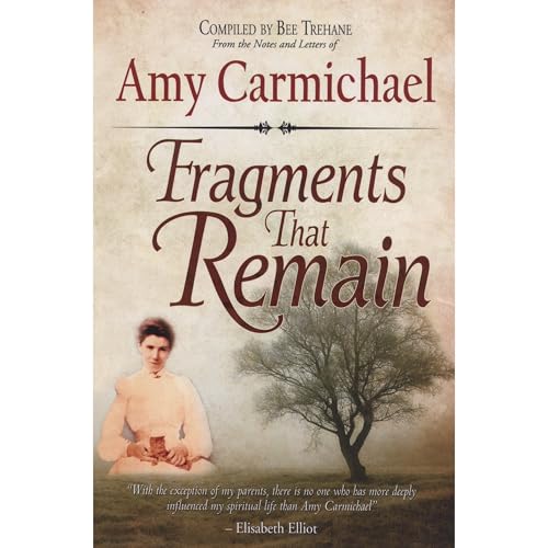 Cover of Fragments that Remain