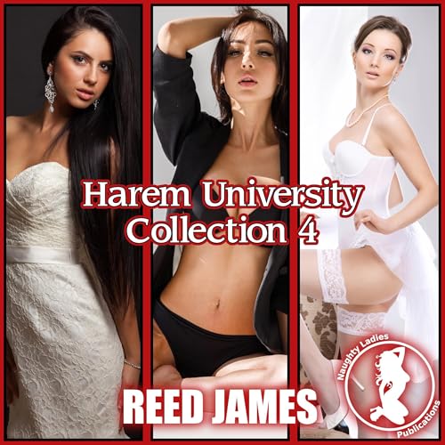 Cover of Harem University Collection 4