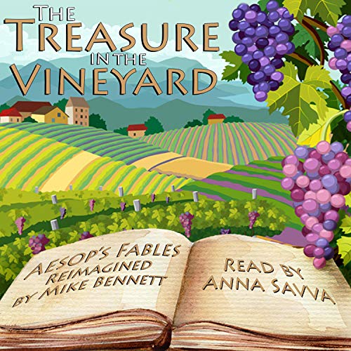 Cover of The Treasure in the Vineyard
