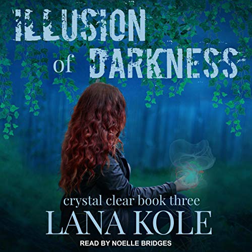 Cover of Illusion of Darkness