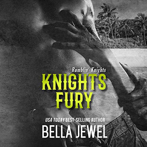 Cover of Knights Fury