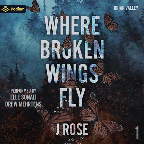 Cover of Where Broken Wings Fly