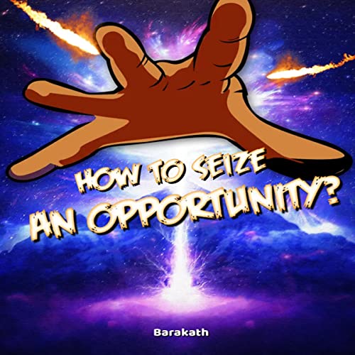 Cover of How to Seize an Opportunity?
