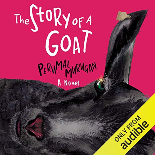 Cover of The Story of a Goat