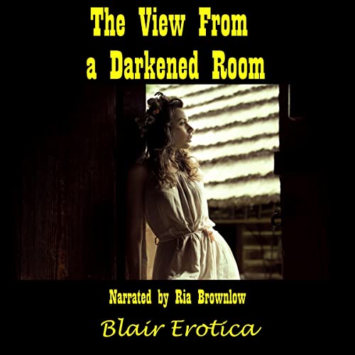 Cover of The View from a Darkened Room