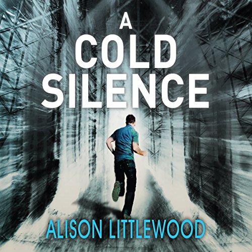 Cover of A Cold Silence