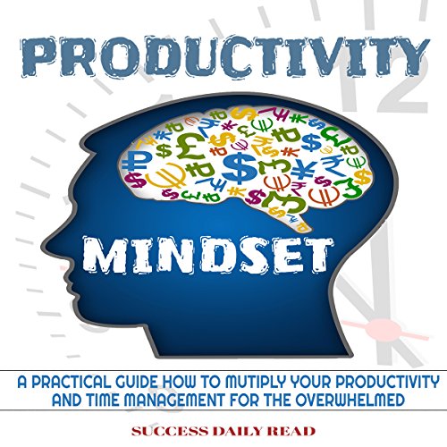 Cover of Productivity Mindset