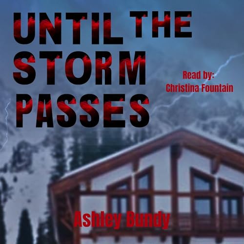 Cover of Until the Storm Passes