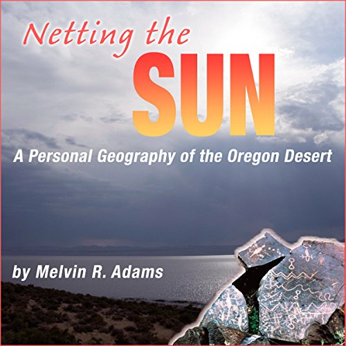 Cover of Netting the Sun