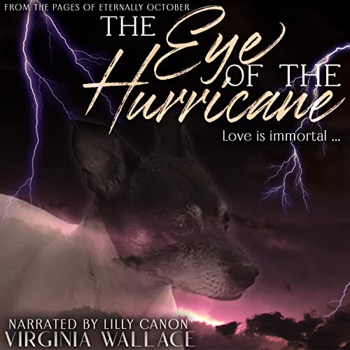 Cover of The Eye of the Hurricane