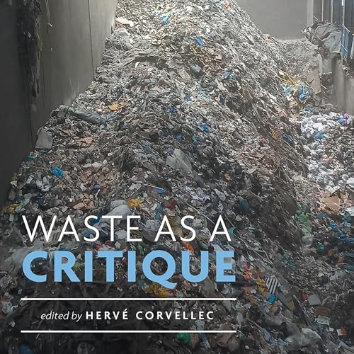 Cover of Waste as a Critique