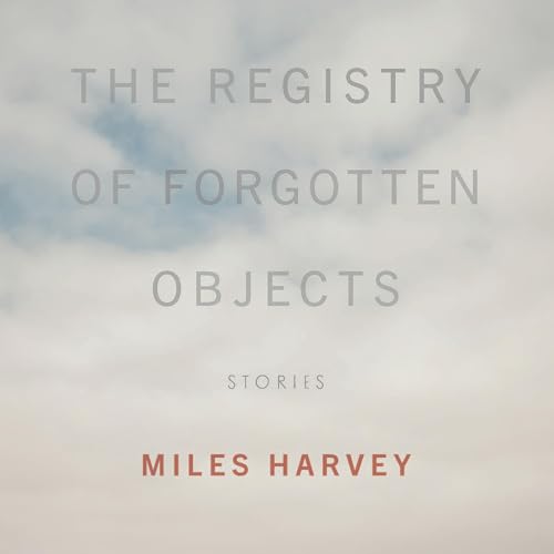 Cover of The Registry of Forgotten Objects: Stories