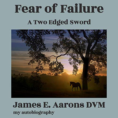 Cover of Fear of Failure