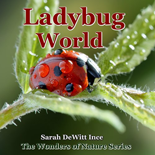 Cover of Ladybug World