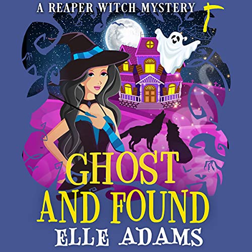 Cover of Ghost and Found
