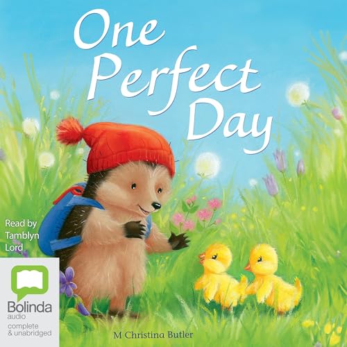 Cover of One Perfect Day