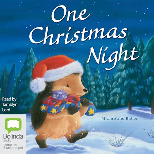 Cover of One Christmas Night