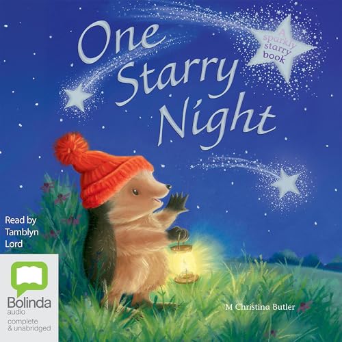 Cover of One Starry Night