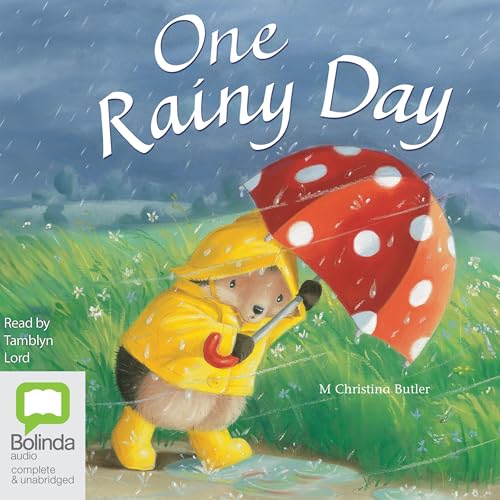 Cover of One Rainy Day