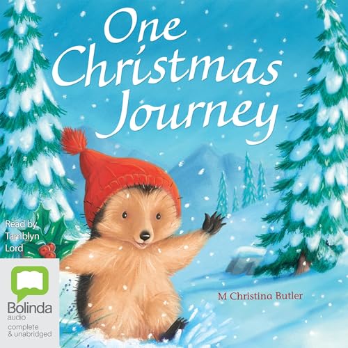 Cover of One Christmas Journey