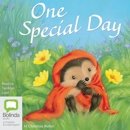 Cover of One Special Day