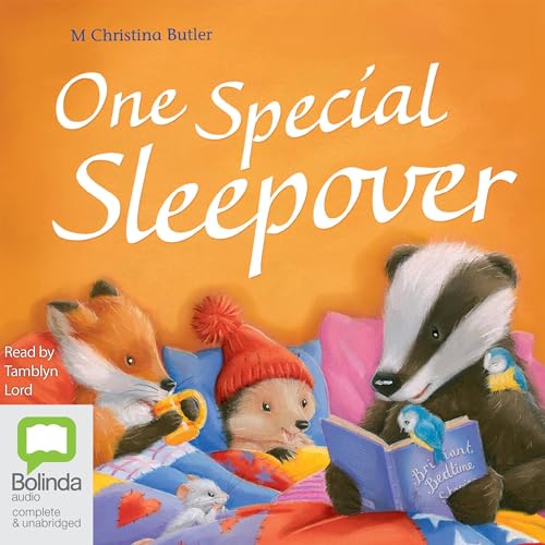 Cover of One Special Sleepover