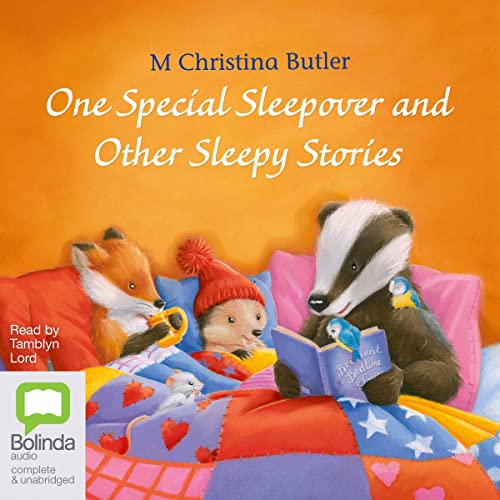 Cover of One Special Sleepover