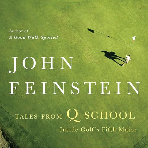 Cover of Tales from Q School