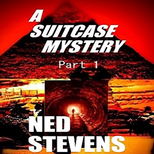 Cover of A Suitcase Mystery