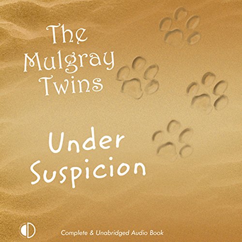 Cover of Under Suspicion