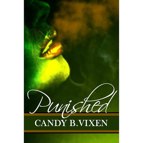 Cover of Punished
